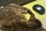 7520375_thumb.jpg