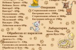 Ветеринарный госпиталь Друзья