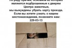 7520396_thumb.jpg