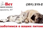 Ветеринарная клиника ЗооВет