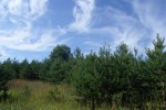 Песняры, ВИА