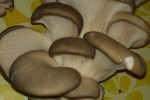 7560191_thumb.jpg