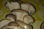 7560192_thumb.jpg