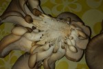 7560193_thumb.jpg