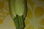 7560200_thumb.jpg