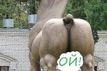 7061707_thumb.jpg