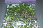 Замороженные продукты и полуфабрикаты