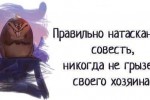 7848063_thumb.jpg