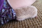 7905694_thumb.jpg