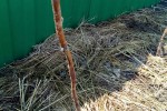 Интернет-магазин Беккер